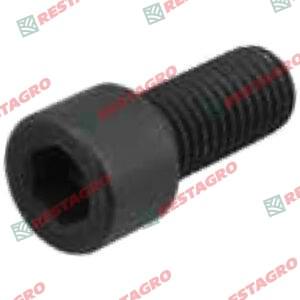 SOCKED HEAD SCREW(M18*2*45)