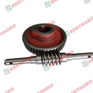 Worm Gear & Shaft