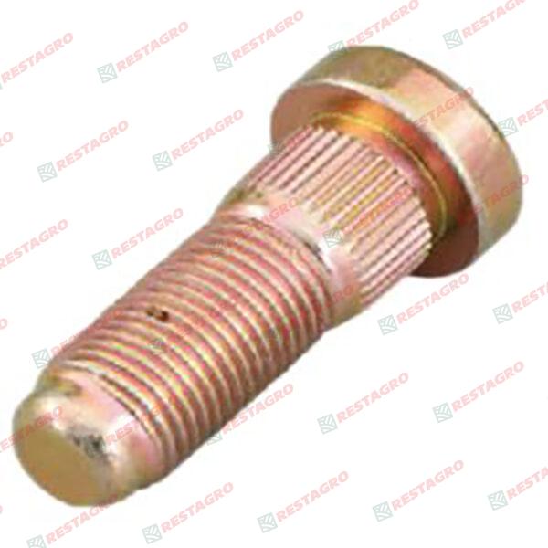 Gear Motor Bolt&Nut